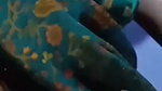 pari@1221 chamet private video