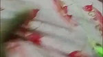 prem nodi chamet private video