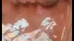 shok pakhi chamet private video
