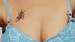 slngel chamet private video