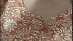 tanisaa chamet private video