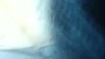 thakup nikku 7888 chamet private video