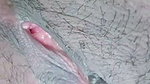 user1153714 chamet private video