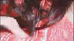 waziha jannat chamet private video
