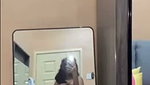 1786600033710