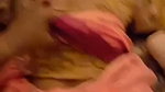 1786680589579