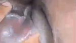 GF 3 1