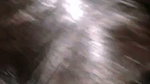 God 1