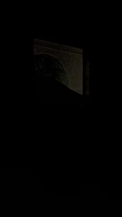 Frame 4