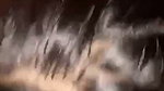 God 38