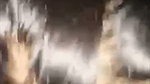 God 38