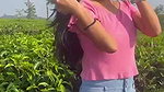 VID 3