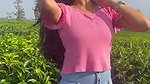 VID 3