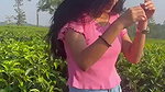 VID 3