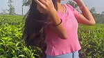 VID 3
