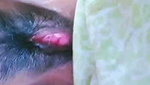 beauty riya Chamet private video