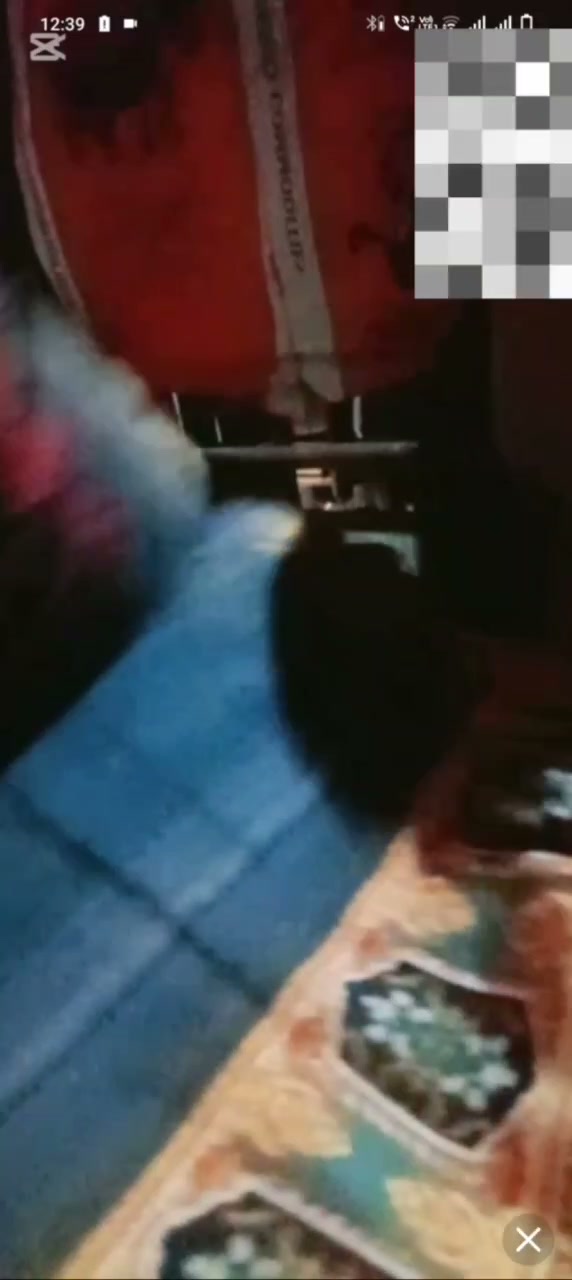 Frame 6