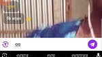 mimi moni Chamet private video