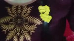 syry Chamet private video