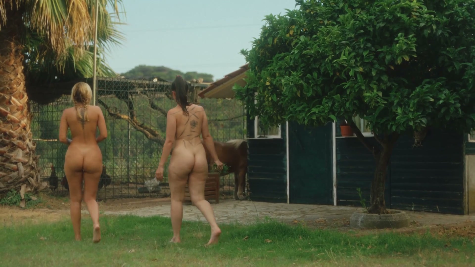 Frame 9