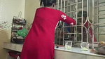 Beautiful Sexy Slim Wife Captured 4
