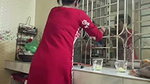 Beautiful Sexy Slim Wife Captured 4