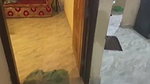 Beautiful Sexy Slim Wife Captured 6