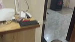 Beautiful Sexy Slim Wife Captured 7