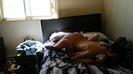 Desi Indian Guy Fucking A Foreign White Girl ~ 33 Min Sextape 1
