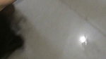 Horny wife Dancing,Mastrubating,Handjob,Blowjob,Fucking in Missionary,Cumshot on Face 57