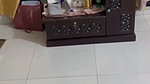 SUCH A GOOD DESI SLUT WIFE NEWLY MARRIED SUCKS COCK 1