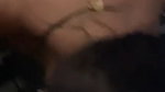 Sexy Indian Horny Gf Blowjob And Riding Hard 2
