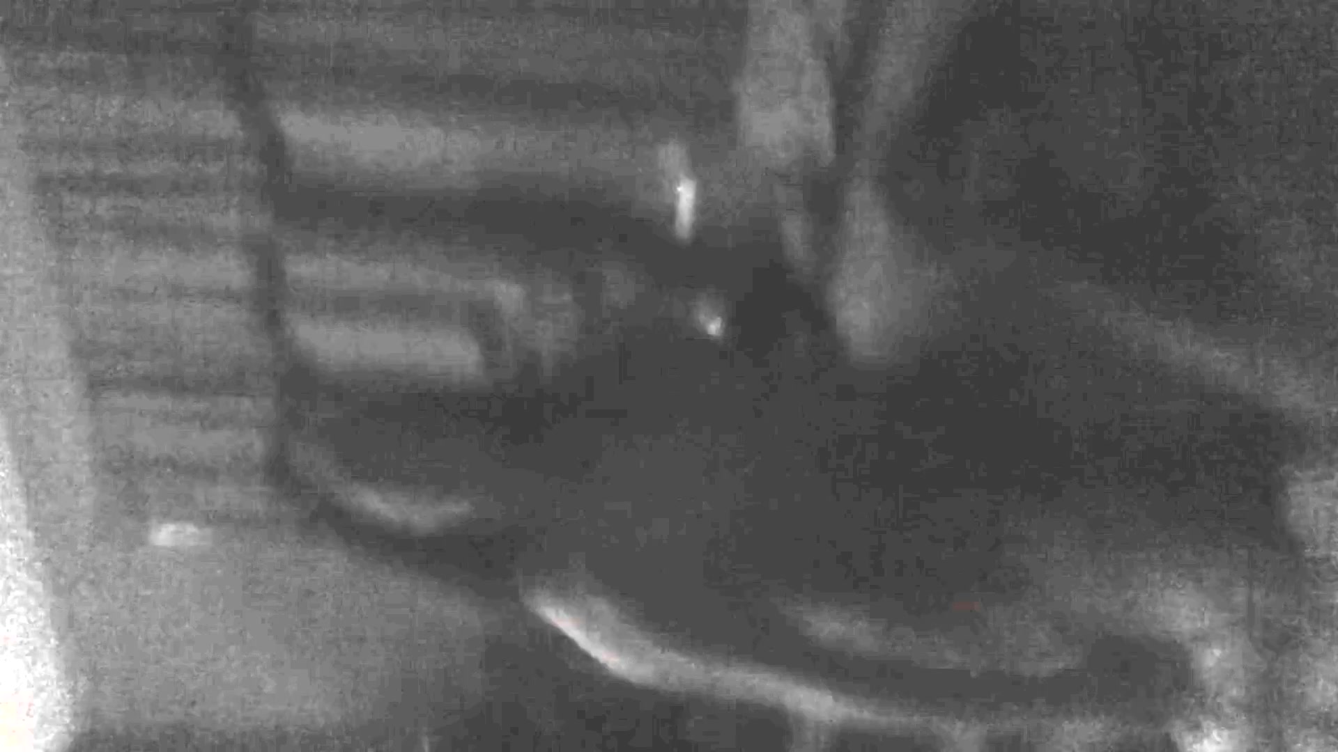 Frame 1