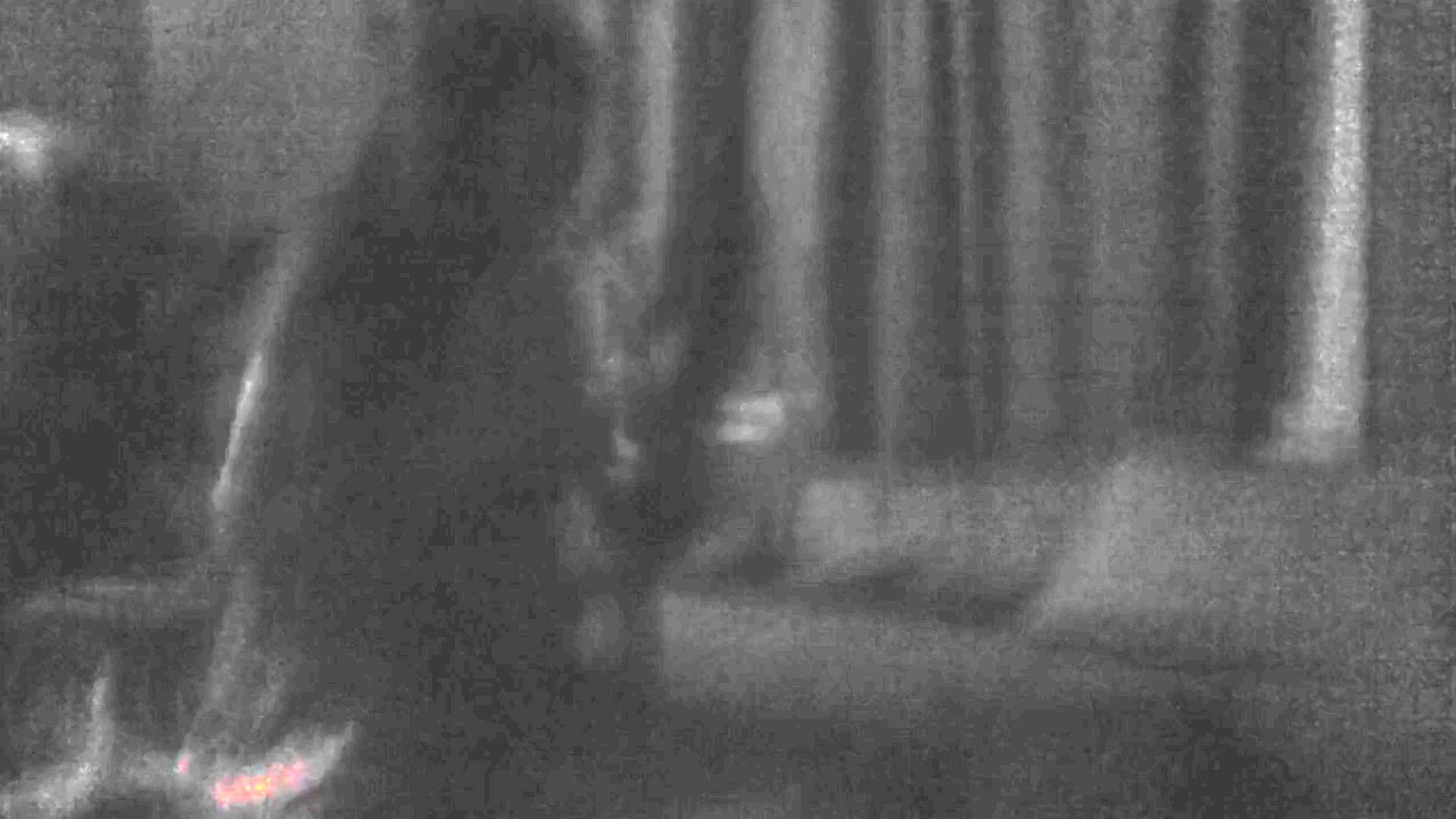Frame 2