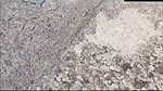 Couple fucking outside
