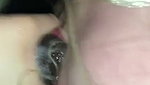 Deep blowjob from blonde and pussy eating