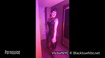 Flapper of my dreams starring Adreena Winters