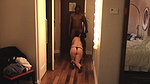 Loving BigBlackBull76 Cock