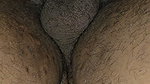 Thick white wife takes bbc bareback