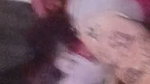 Thick wife enjoying sloppy blowjob first BBC