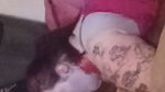 Thick wife enjoying sloppy blowjob first BBC