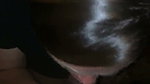 apRzLsL9_720p