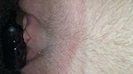 public  (21)