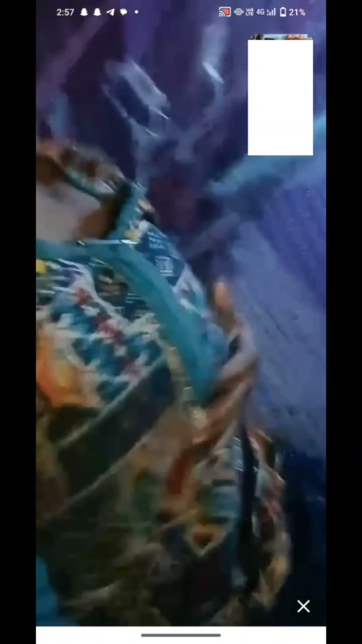 Frame 1