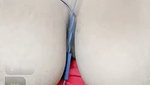 sona Chamet private call