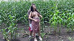 Fucked Slutty Step Sister in Dress on Cornfield and Cummed on Her Ass  Faphouse