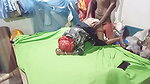 Hot Desi with Romantic Neighbor’s Sister-in-law