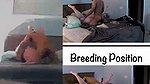 Bull pounds and breeds my married pussy (2