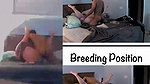 Bull pounds and breeds my married pussy (2