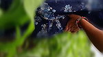 Desi gaon ki Bahu Makka ki khet mein Apne bade bubs dabakar chut mein ungali Dal Apne sasur Ji ko dikh rahi hai sasur ji Meri gand maar do a